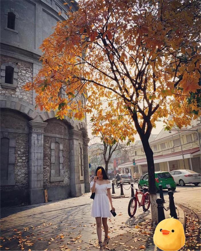 Aura Home Whole French House Hanoi Buitenkant foto